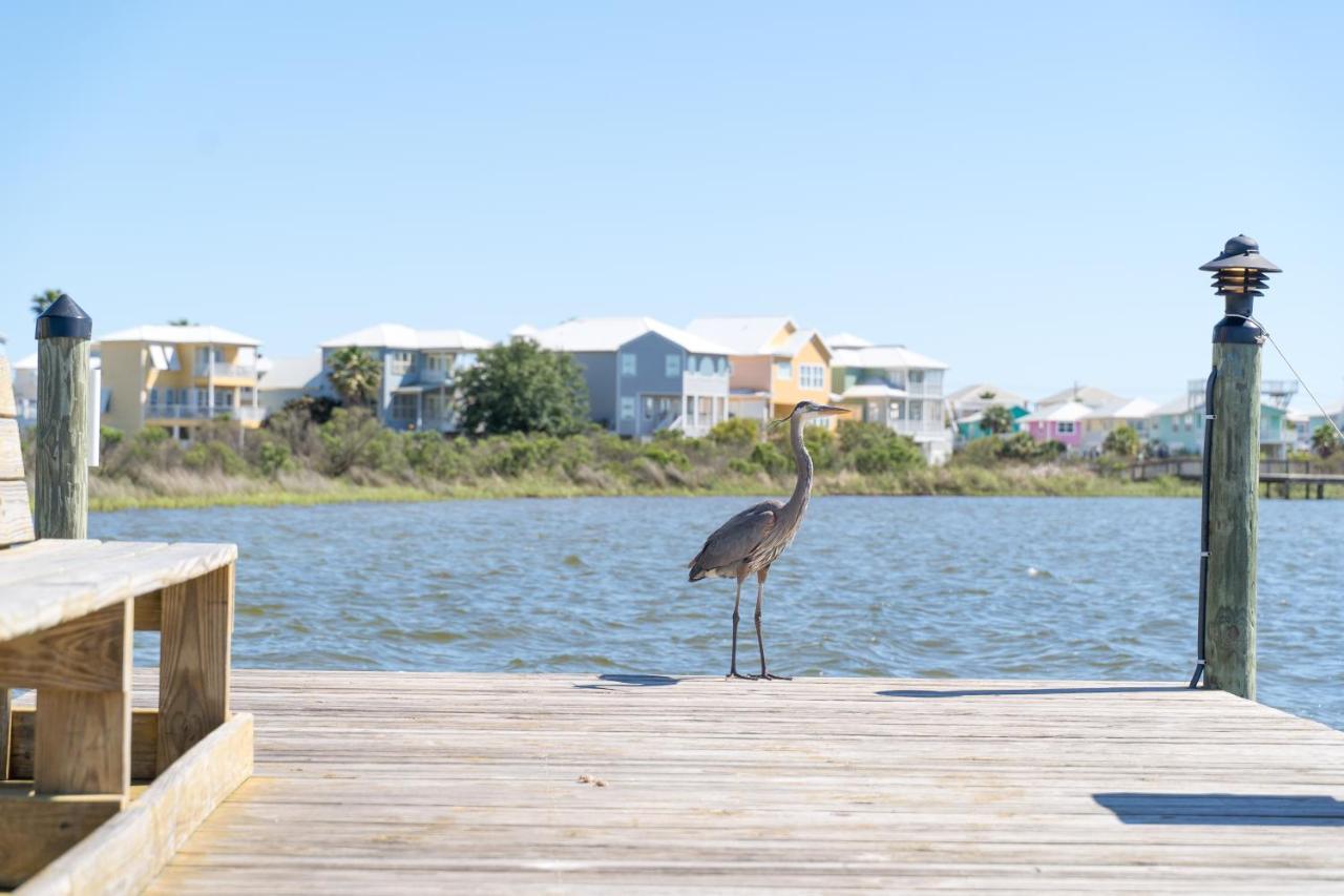 Compass Point 310 Gulf Shores Exterior foto